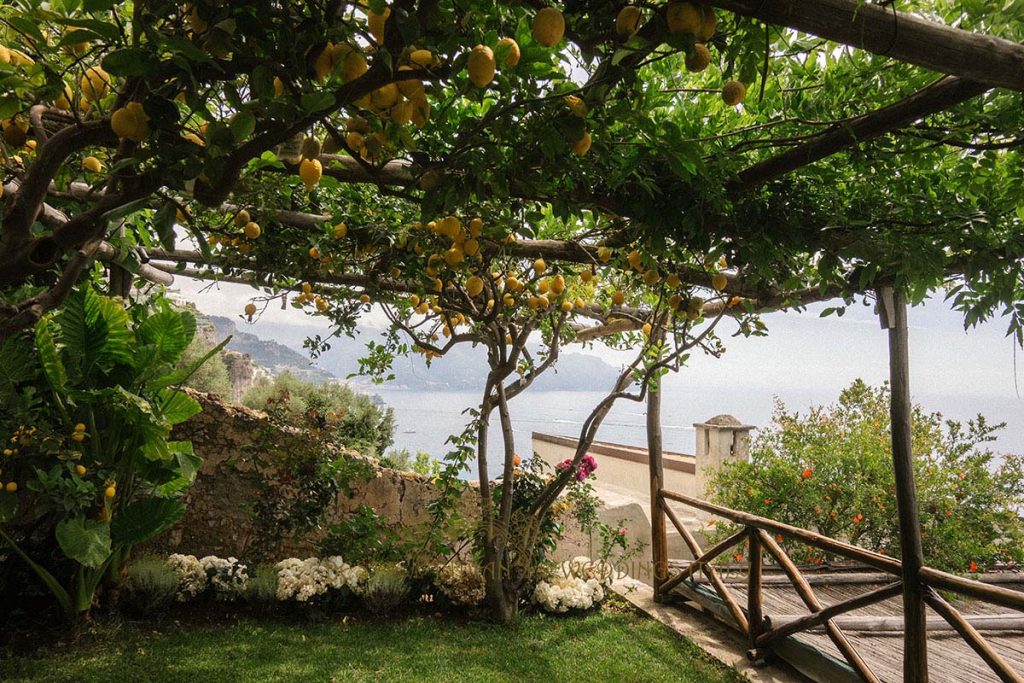 lemon amalfi coast wedding 1024x683 - Intimate Micro Wedding on the Amalfi Coast: Pratiksha &amp; Amit's Fairy Tale
